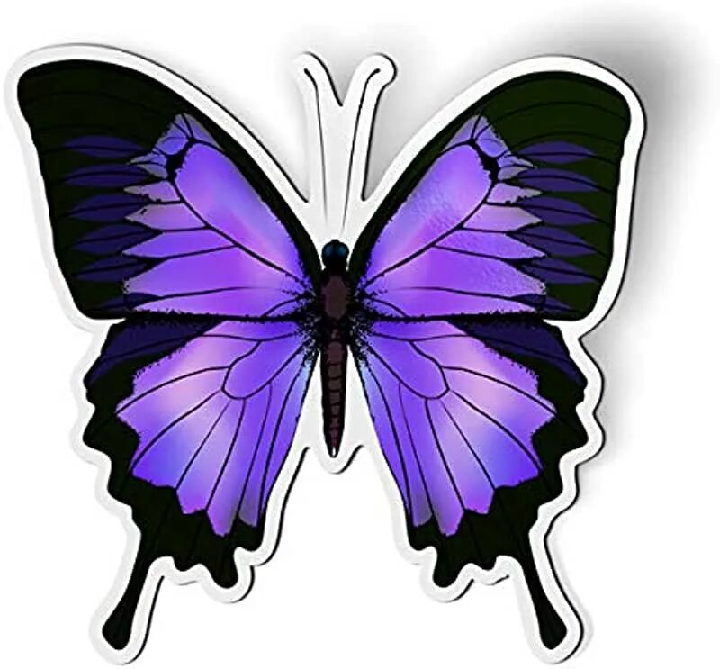 Как выглядит цвет бабочки What we once enjoyed and deeply loved. We can never lose, for all that we love d