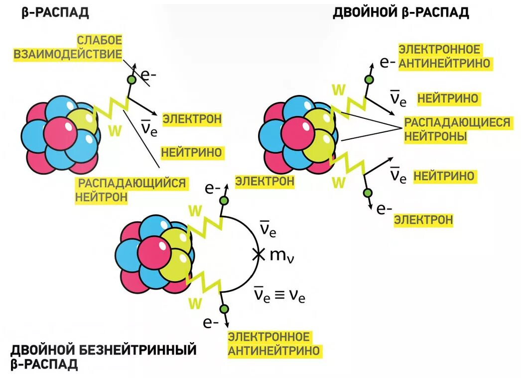 Модель распада. Слабое взаимодействие в бета распаде. Бета распад слабые взаимодействия нейтрино. Слабое ядерное взаимодействие. Слабое взаимодействие в физике.