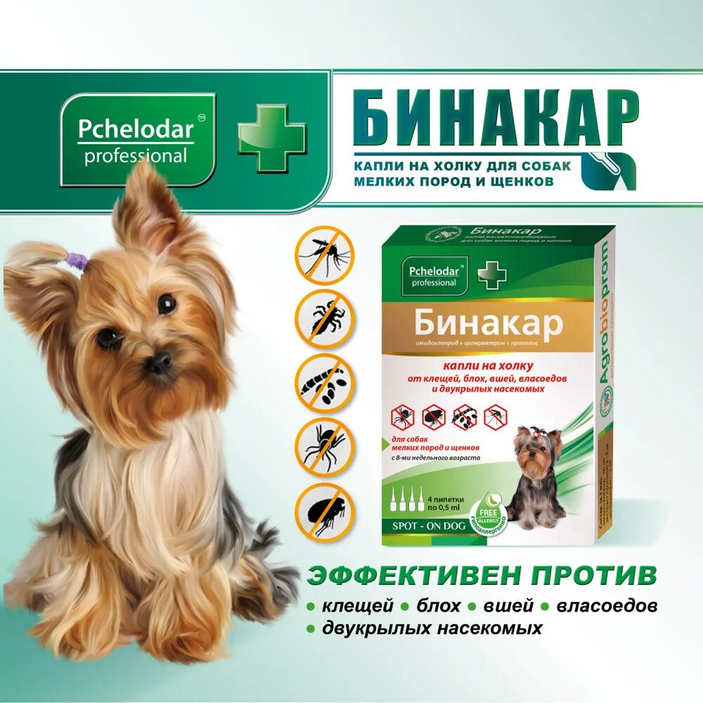 Капли от клещей для щенков мелких. Бинакар для собак. капли от клещей и блох для собак бинакар. бинакар капли для собак. бинакар форте для собак.