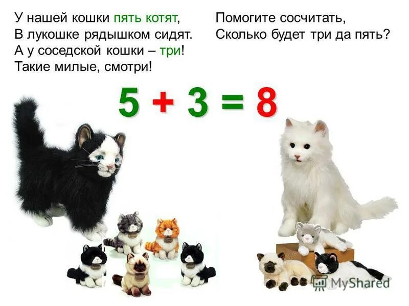 1 Класс котята 5 котят. Пять нет восемь котят. Найти пять кошек. Сколько будет 2 кошек плюс 3 кошек. 1 кошка и 5 котят