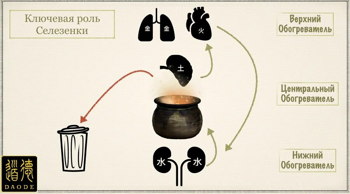 Китайская медицина органы. Усин традиционная китайская медицина. Теория пяти элементов в китайской традиционной медицине. Принципы питания в китайской медицине. Древняя китайская медицина.