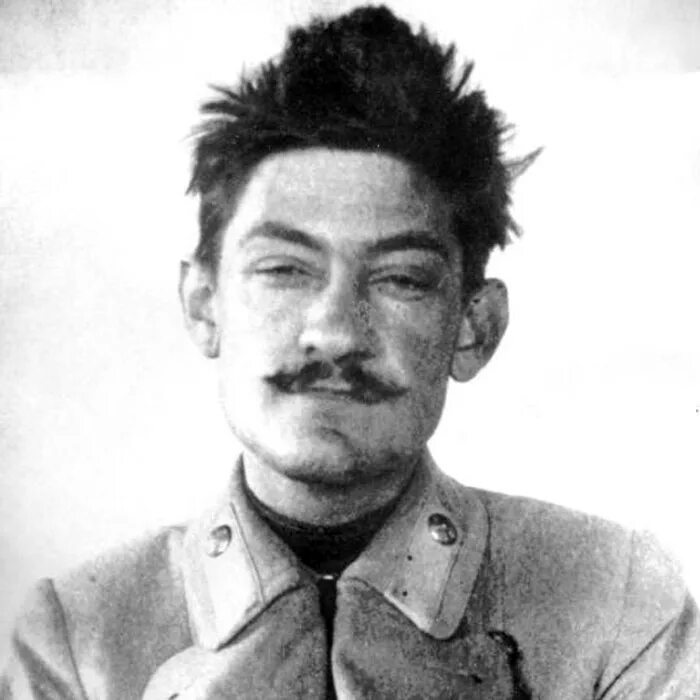 Донцов биография. Дмитрий донцов. дмитрий иванович донцов. дмитрий донцов национализм. дмитрий донцов (1883 - 1973).