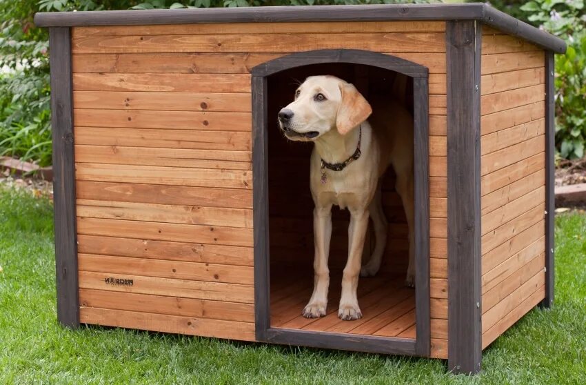 Dog house casino dog houses info. Собака с конурой. Будка. Будка для собаки. Современные будки для собак.