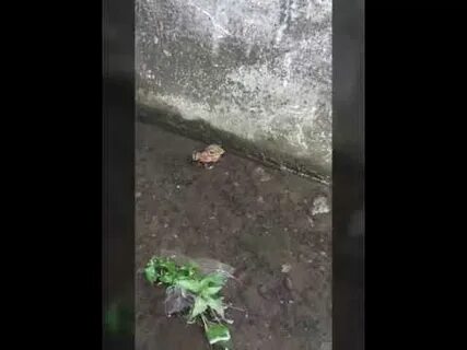 Влюбился в дворника надю