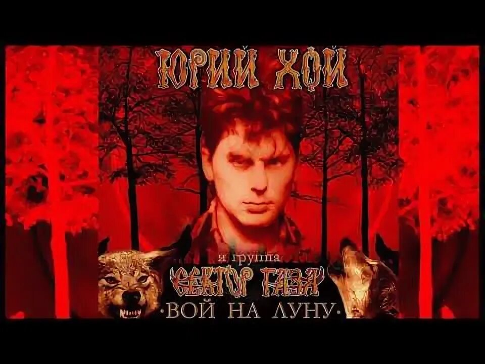 Не вой на луну. Не вой на луну. Вой на луну. Не вой на луну. Не вой на луну.