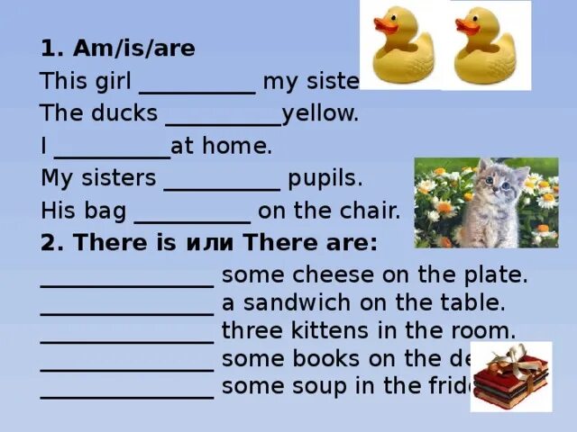 Ducks is или are. That is his Bag. Are your sister a pupil too. My sisters are pupils