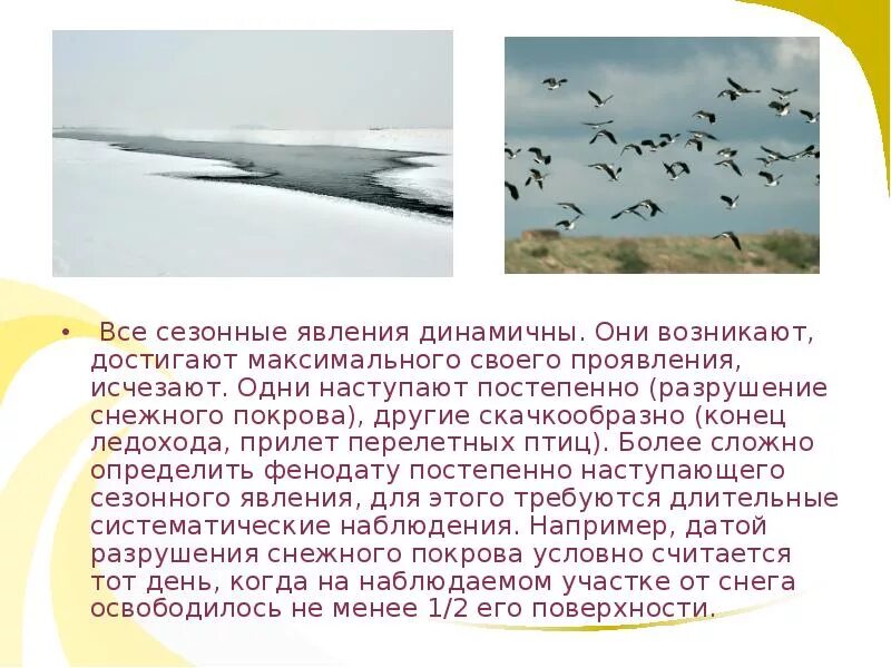 Последовательность сезонных явлений в жизни птиц. Сезонные явления у птиц. Сезонные явления в жизни птиц. Сезонные явления в жизни ласточки. Сезонность явления в жизни птиц.