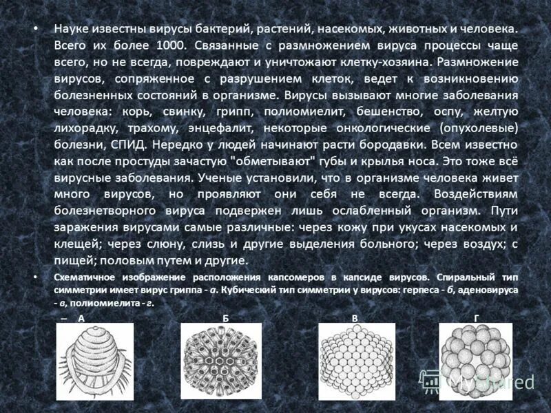 Вирусы животных растений и бактерий. Вирусные заболевания растений и животных. вирусы растений. спиральная симметрия вирусов. вирусные заболевания человека животных и растений.