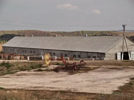 Ферма 80 40