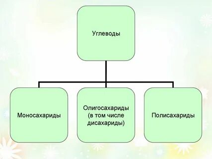 Углеводы 8 класс биология