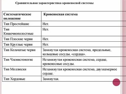 Типы почек у позвоночных животных таблица