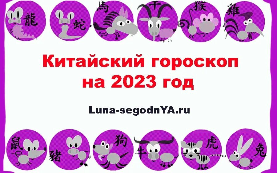 Гороскоп на 2023 год. Китайский гороскоп на 2023 год. 2024 Год кого. Какое животное в 2024 году будет символом года. Какой год зодиака 2024 года