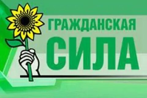 Гражданская сила программа
