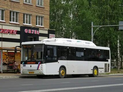 Автобус 560