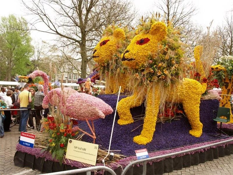 Тема праздник цветов. Тема праздник цветов. Парад цветов bloemencorso bollenstreek. Праздники цветов в мире. Фестиваль цветов композиции.