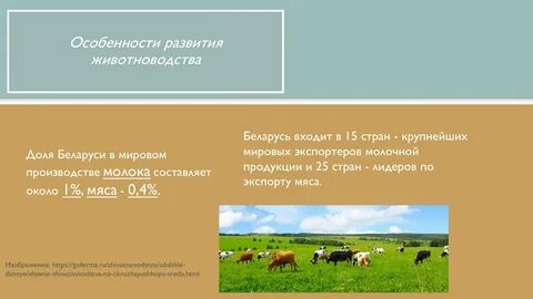 Примеры современного индустриального развития животноводства