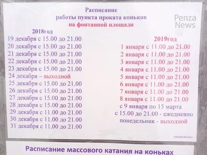 Со скольки работает сокол