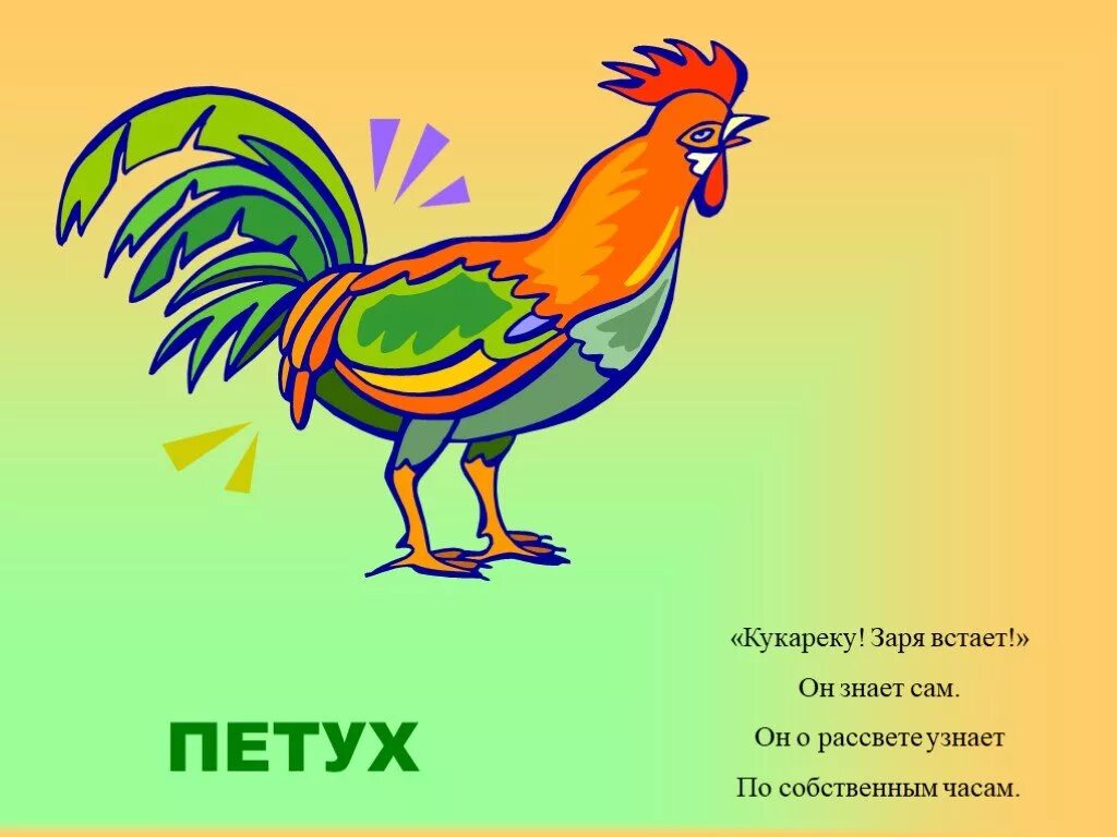 кукареканье петуха звук. кукареку звук петуха слушать. германского петуха звук. кукареку звук петуха. петух голосит.