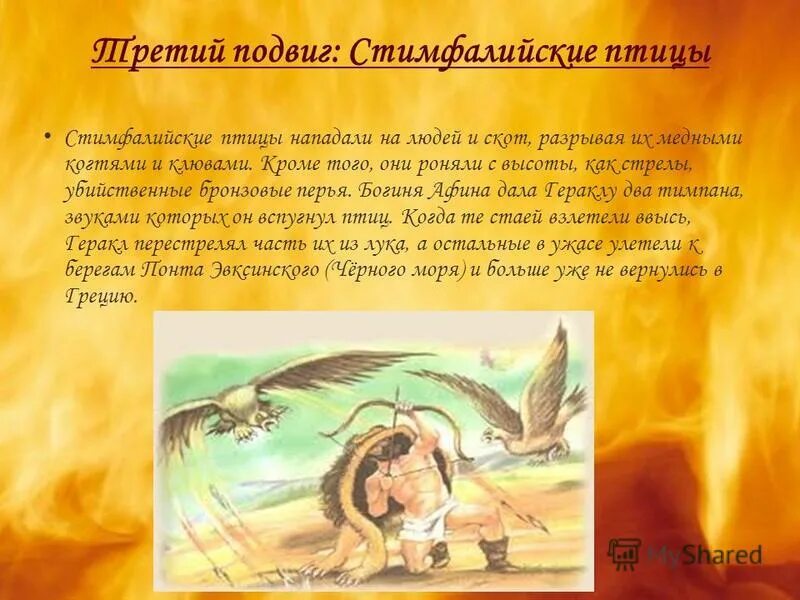 Геракл подвиг птицы. Третий подвиг: Стимфалийские птицы. 12 Подвигов Геракла 3 подвиг. Мифы древней Греции Стимфалийские птицы. 3 Подвиг Геракла (истребление стимфалийских птиц).