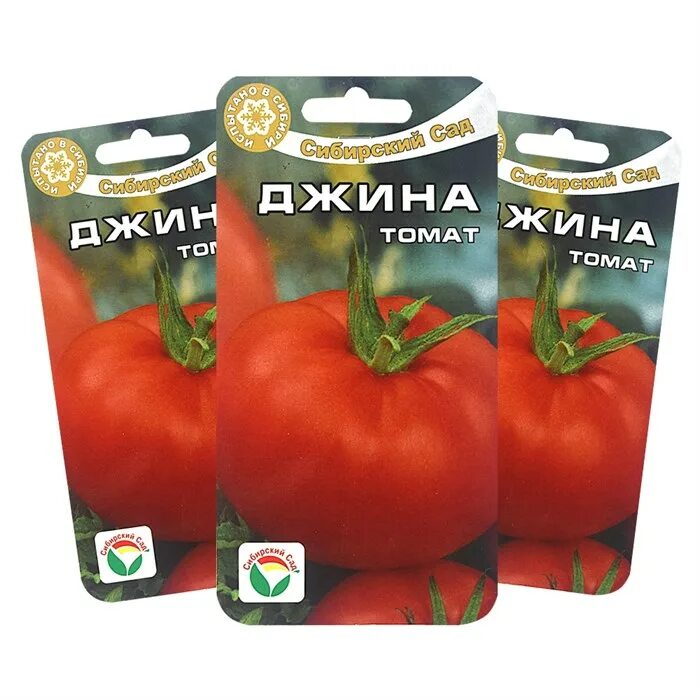 томаты джина тст описание сорта фото отзывы. томат джина сибирский сад. семена помидор джина.
