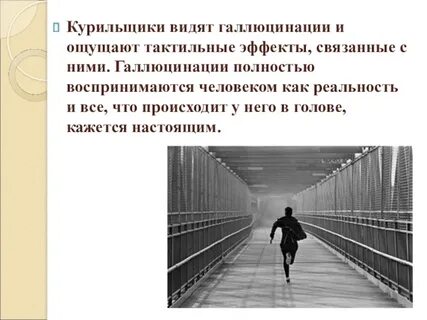 Галлюцинации факты