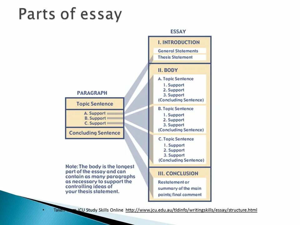 Parts of essay. Parts of an essay переводы. Topic and supporting sentences. General Part essay.