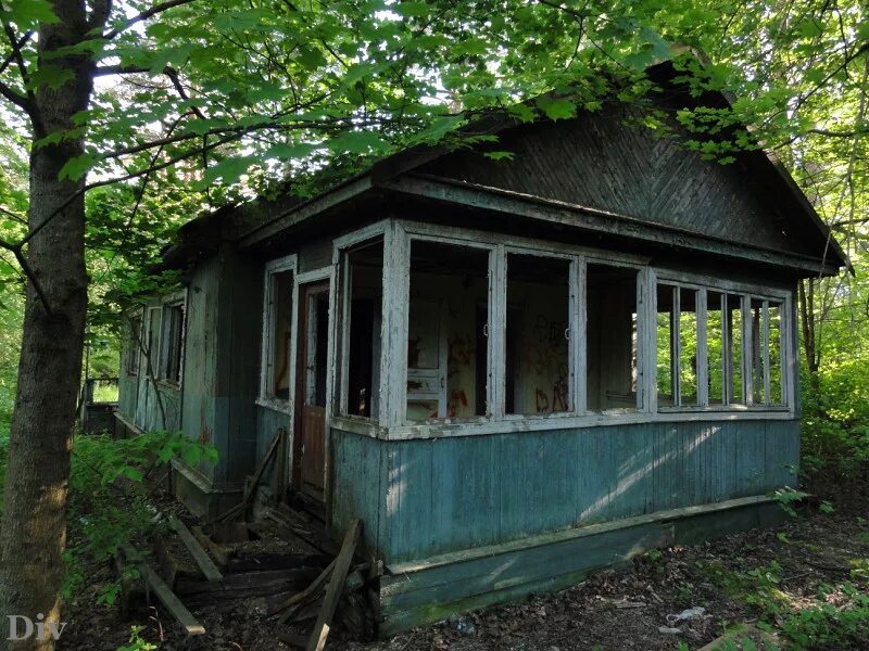 Детский лагерь дача. Советская дача. Сад на 6 сотках. Дачи для детских садов. Дачи детских садов.