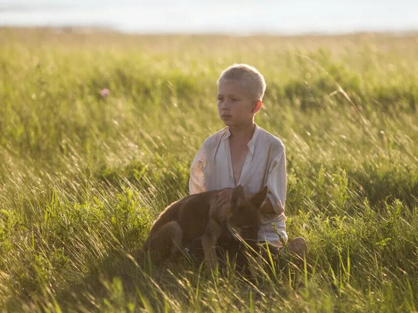 степные боги 2024