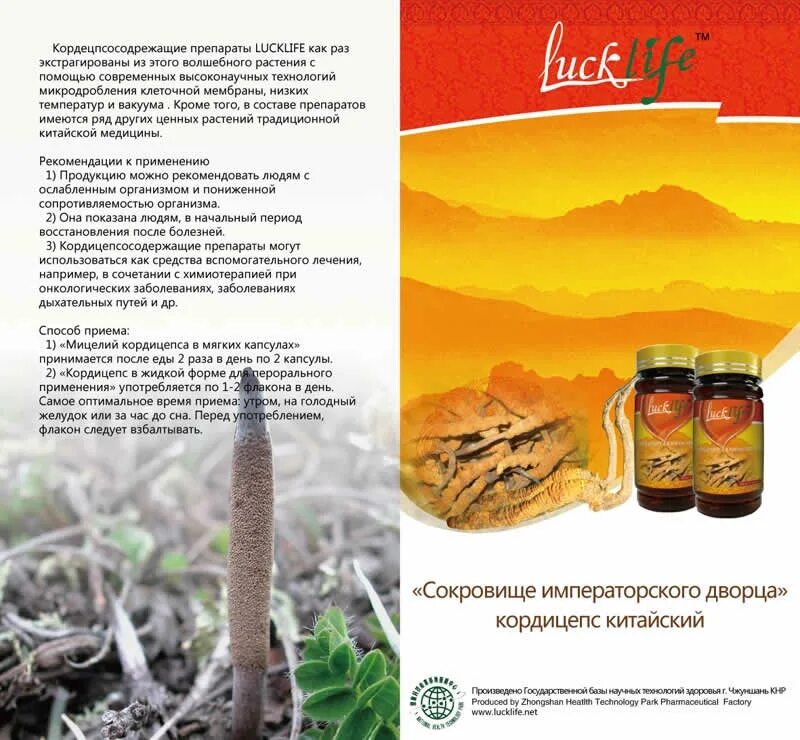 Cordyceps инструкция. Мицелий кордицепса ЛАКЛАЙФ. ЛАКЛАЙФ кордицепс кордицепс жидкий. Флаер мицелий кордицепса. Кордицепс китайский мицелий.