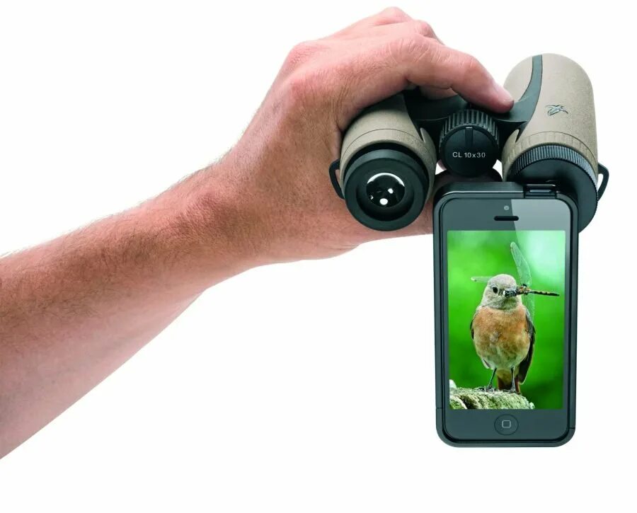 Бесплатная камера для айфона. Держатель для смартфона на бинокль. Бинокль с камерой. Зрительная труба смартфон. Камера для съемки птиц.
