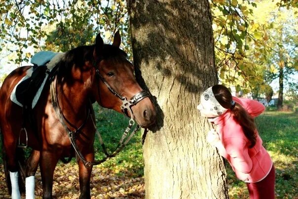 Алиса лошадка. Девушка в деревянных колодках и конь. Парень в костюме лошади. Алиса покажи лошадь клайслейд. Сколько лет орским лошадкаи в парке.