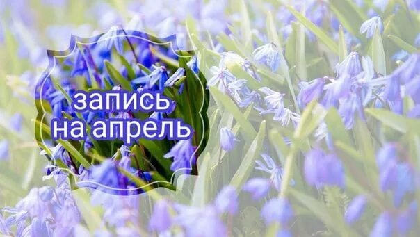 Запись на апрель открыта маникюр. Свободная запись на апрель. Запись на апрель открыта. Идет запись на апрель картинки. Свободная запись на апрель.