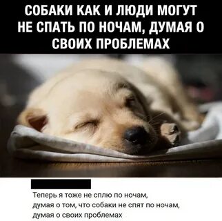Ночь проблем
