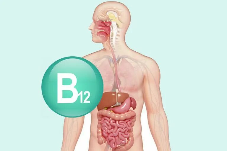 Недостаток б 12. Витамин b12 гиповитаминоз симптомы. Симптомы авитаминоза витамина б12. Недостаточность витамина в12. Симптомы гиповитаминоза витамина б12.