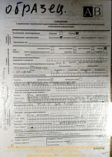 Заявление лнр