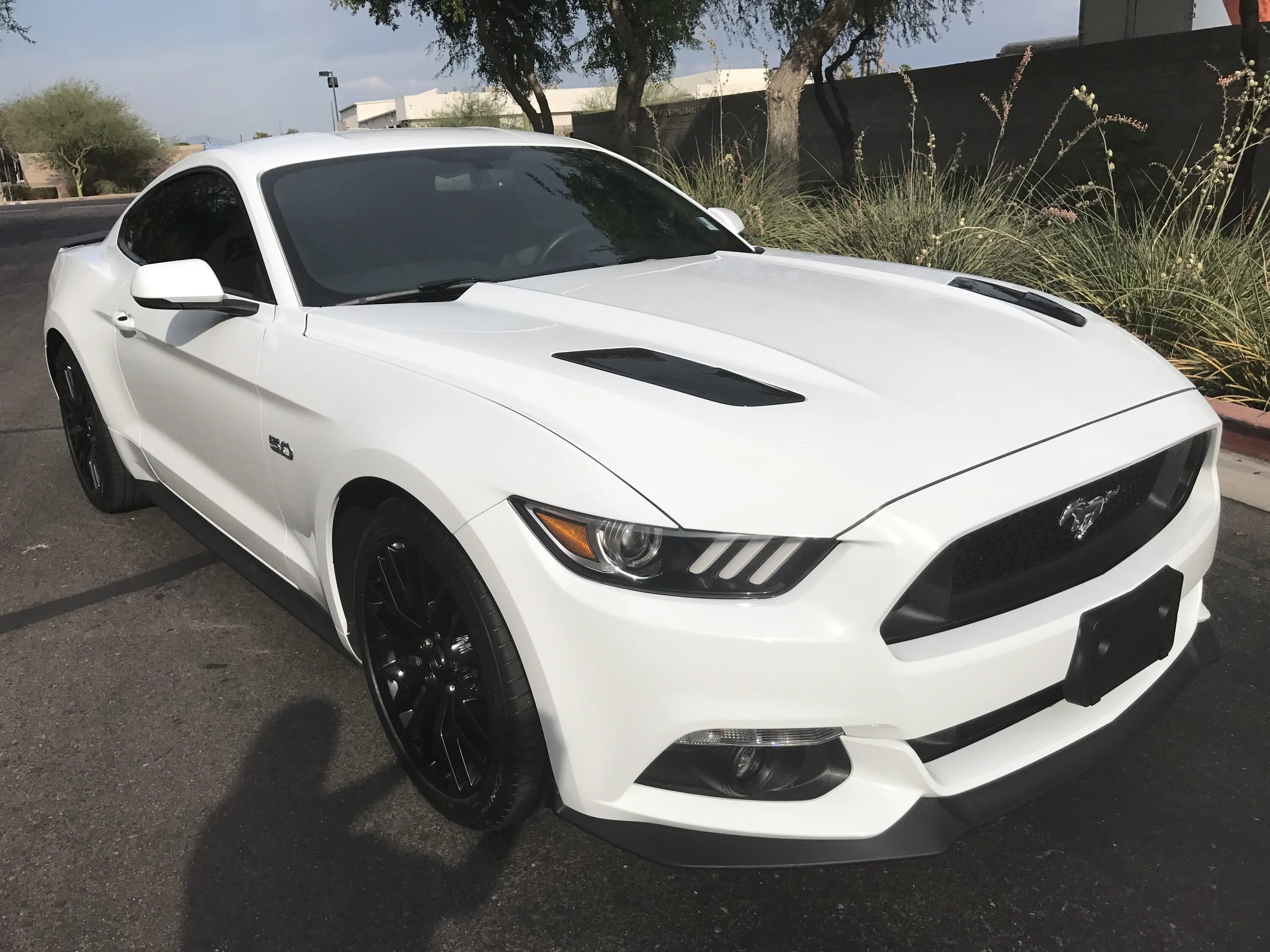 One of the girls streets white mustang. Форд Мустанг 2015 белый. Форд Мустанг gt Premium. Ford Mustang 2015 White. Ford Mustang gt 2015 белый.