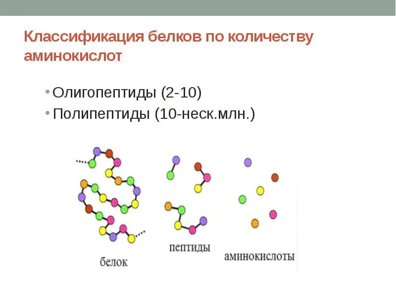 Сколько аминокислот белка