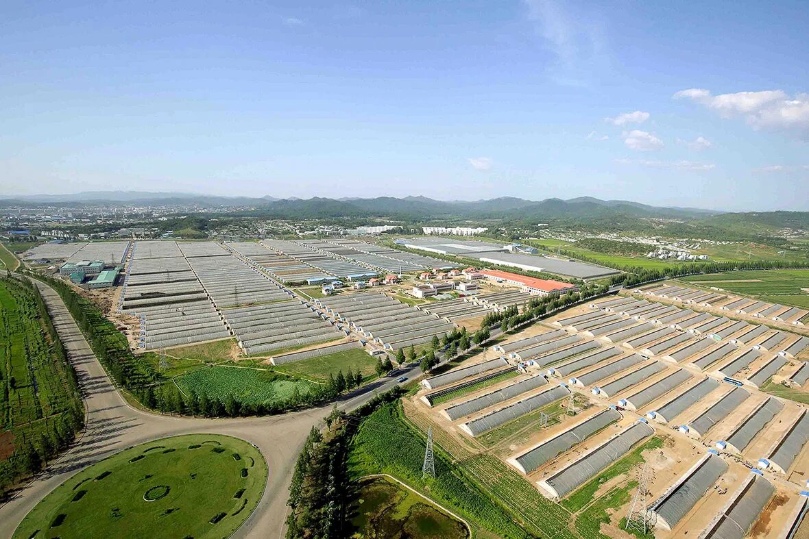 Поля нии саратов. Нии поле. Поля нии юго-востока саратов зеленые насаждения. Дендрарий ниисх юго-востока саратов. Поля нии саратов.