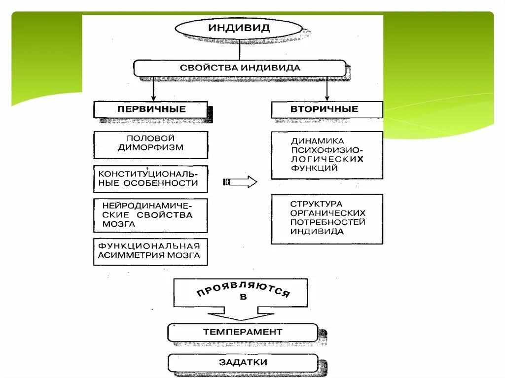 Основные качества индивида. Структура понятия «индивид» (по б. г. Ананьеву). Схема индивидных свойств человека по Ананьеву. Свойства индивида по Ананьеву. Характеристики индивида.