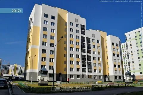 Анатолия мехренцева