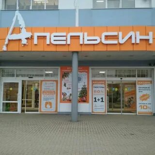 Апельсин есенина отзывы