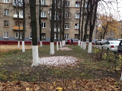 Экооборона химки
