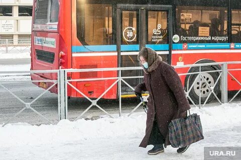 Янао пенсионерам