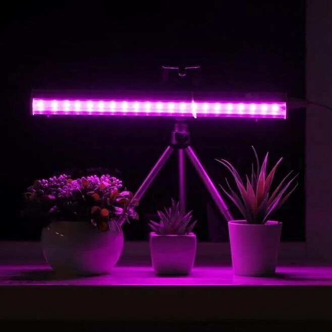 фитолампа 1000w. фитолампа supergrow 216led switch. лампа general 6500k 40 вт для досвечивания рассады. фитолампа фитолето. светильник 5 урожаев ожз.