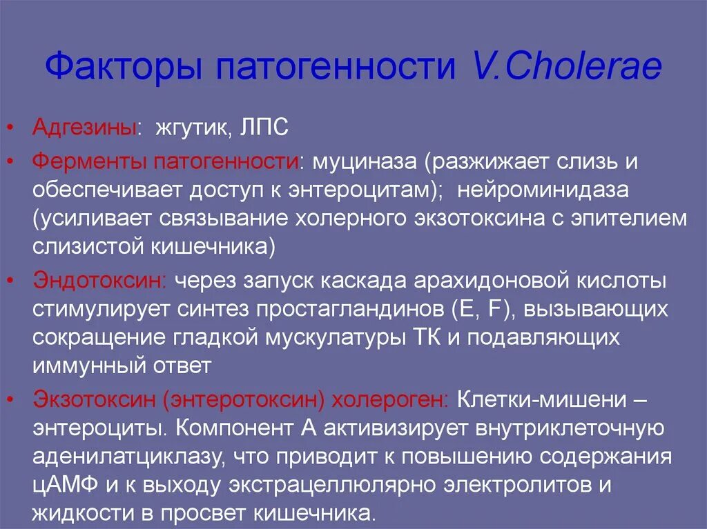 Факторы патогенности холеры. Вибрионы факторы патогенности. Факторы патогенности холерного вибриона. Холера микробиология факторы патогенности. Ферменты патогенности