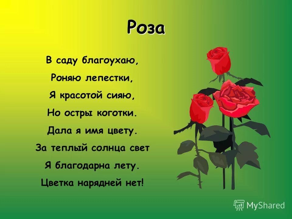 Стих про розу. Стих про розу цветок. Стих про розу для детей. Детские стихи о Розе. Девиз розы