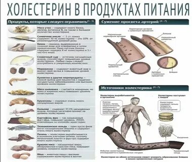Какие продукты поднимают холестерин