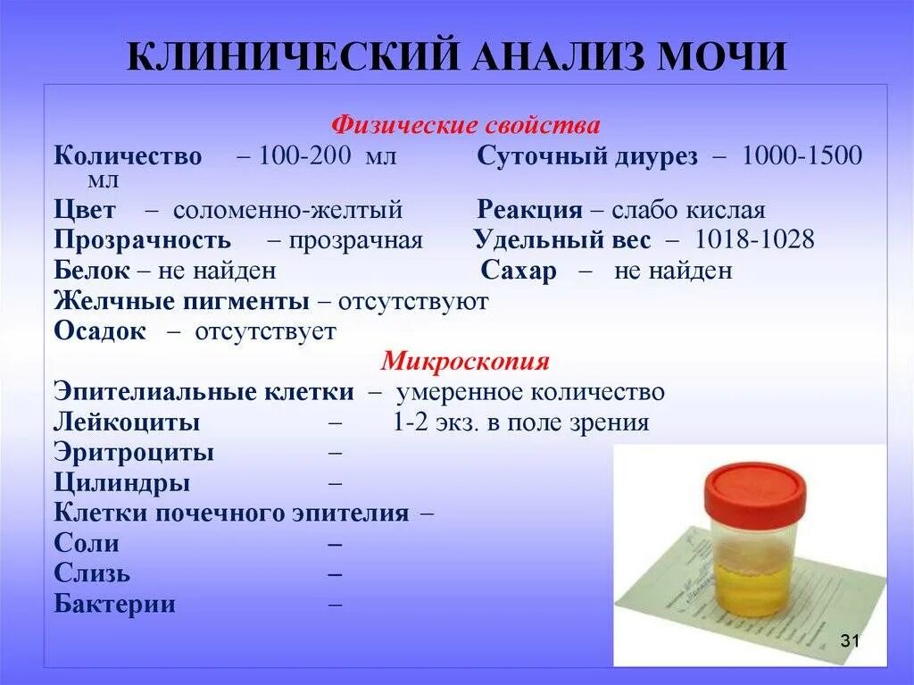 Количество мочи для общего клинического анализа в мл. Объем мочи на общий анализ мочи. Сколько надо мочи для общего анализа. Сколько нужно сдавать мочи для анализа.