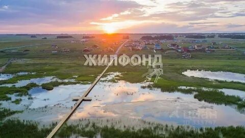 Погода пичуги ордынский