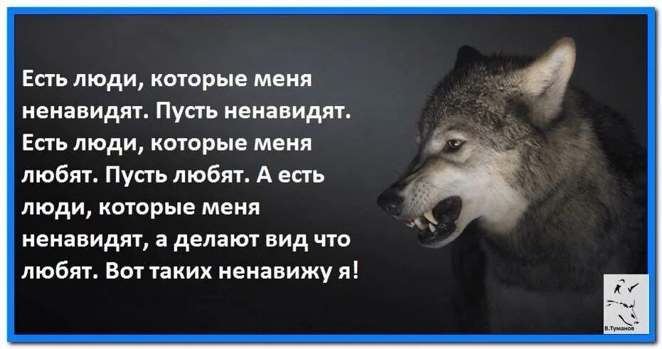 Есть люди которые меня ненавид. Есть люди,которые меня ненавидят. Пусть ненавидят.есть. Ненавижу людей которые. Ненавижу людей цитаты. Он говорит что ненавидит меня